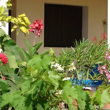 Holiday home A Casa Radica, Rez-de-villa Au Calme, Jardin Et Maquis Eccica-Suarella (Corsica)