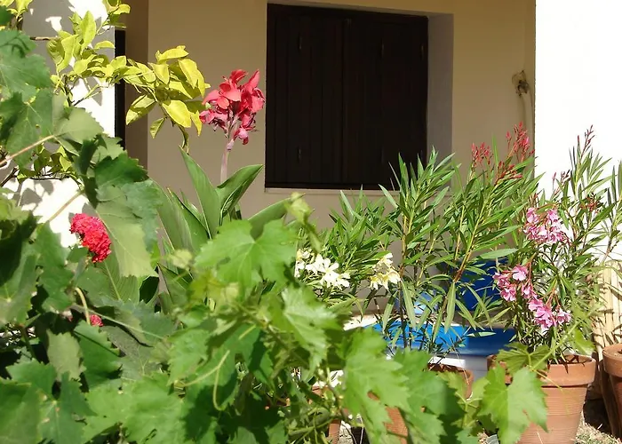 度假居 Le Radica 埃希卡-苏埃雷拉