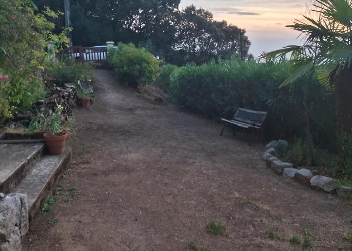 Le Radica 埃希卡-苏埃雷拉